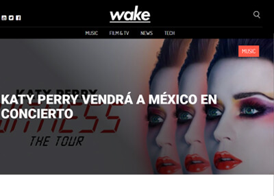 imagen de página web de wake